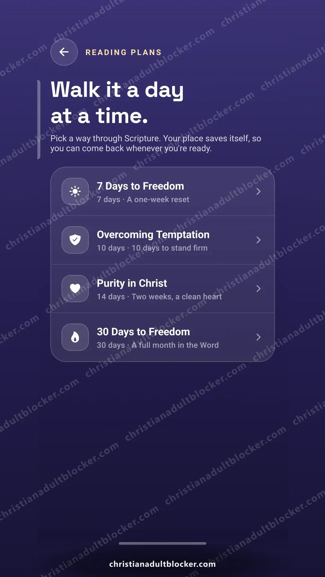 The Bible reader
