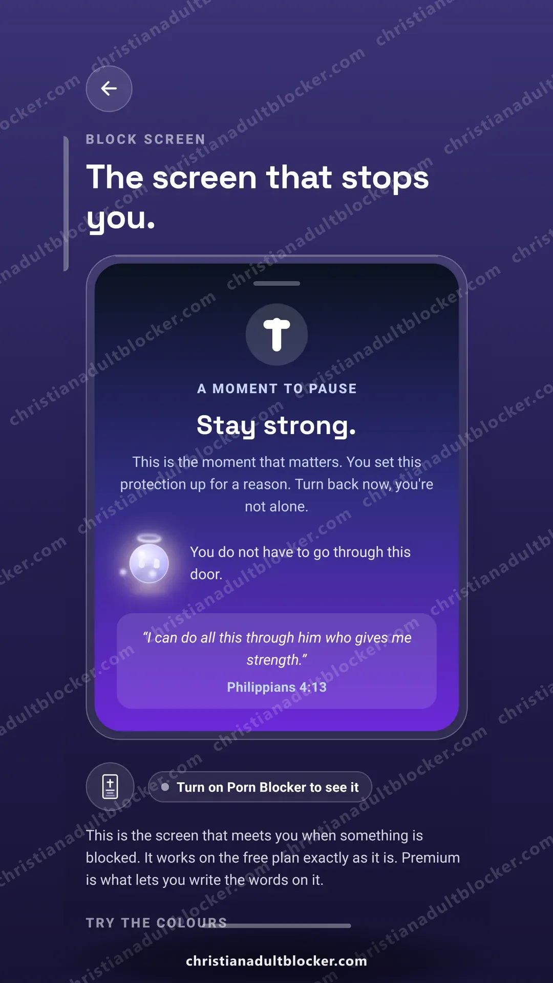 The block screen, as it appears over pornography